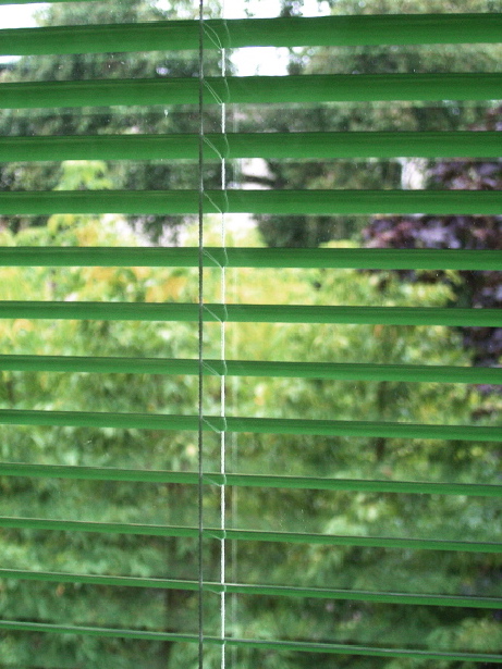 blick006